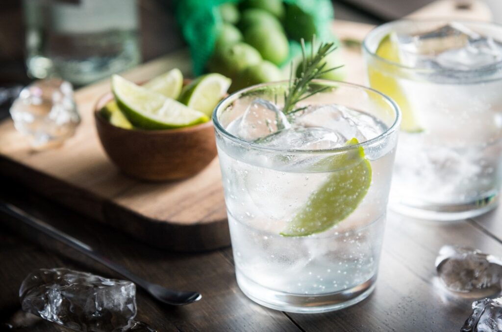 frisches Gin Tonic