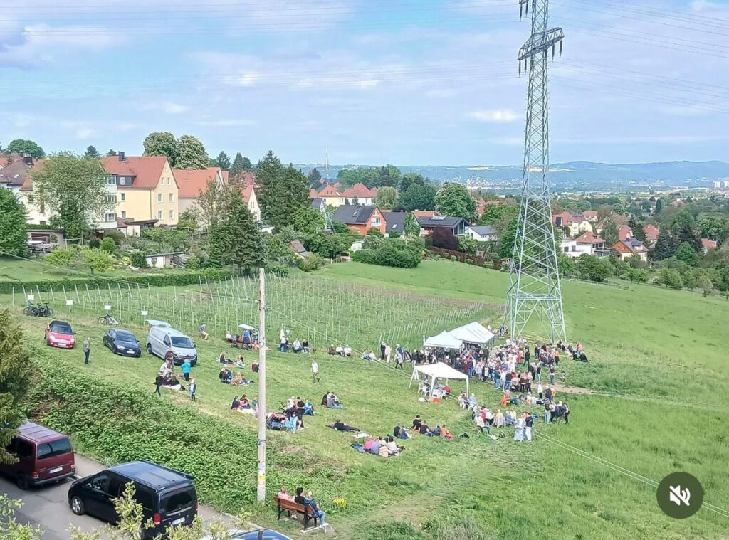 Viele Menschen entspannt auf grüner Wiese bei weißem Zelt, Strommast